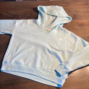 Abercrombie Kids Light Blue Hoodie